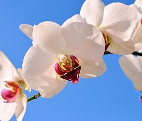 唐山正规助孕捐卵机构，附正规捐卵机构报名表！